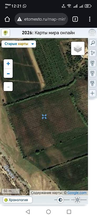 Продажа сельхоз предприятий: Питомник растений, 300 соток, Действующий, Без оборудования, Холодная вода — 4