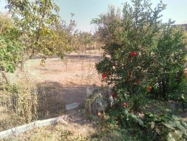 Həyət evləri və villaların satışı: 4 otaqlı, 121 kv. m, Kredit yoxdur, Yeni təmirli — 10