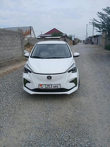 Changan: Changan Benben E-Star: 2020 г., Электромобиль, Хетчбек — 5
