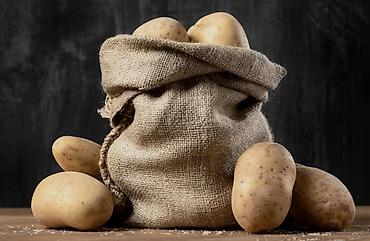 Картошка Джелли, Оптом, В розницу