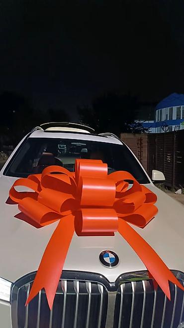 банты: В наличии имеется варианты! Автобант на заказ индивидуальный дизайн на — 7
