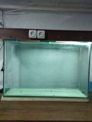 ножницы для кошек: Продается аквариум + освещение! толщина стекла 8 мм. состояние