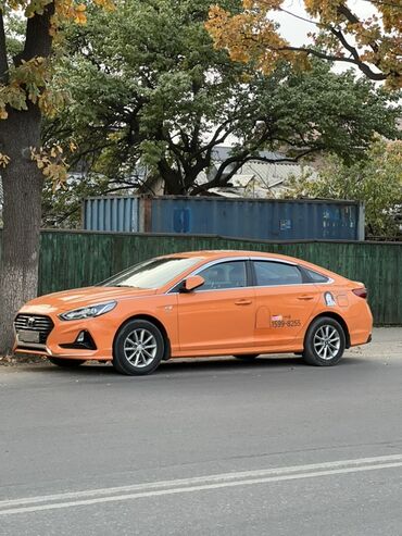 акцент хюндай: Hyundai Sonata: 2019 г., 2 л, Автомат, Газ, Седан