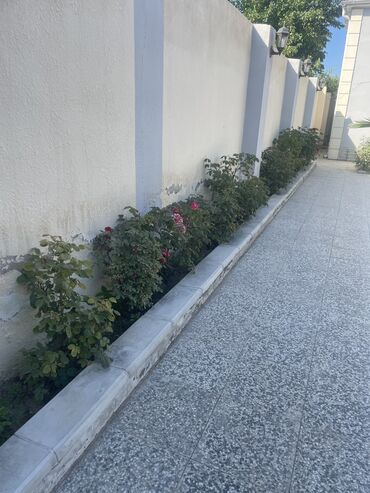 Ağlay: Termo aqlay topdan satiş qiymətlər 1.80 azn dən başlayan qiymətlər — 29