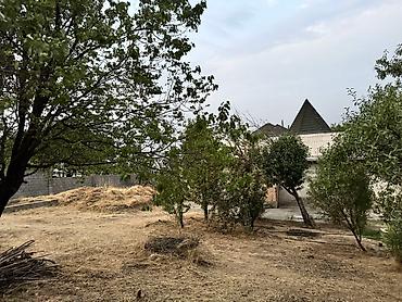 Продажа коттеджей и домов: Продается дом с общей площадью 12 сот. Территория дома 10 сотик и — 9