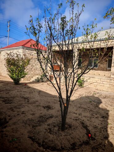 Həyət evləri və villaların satışı: 4 otaqlı, 3 kv. m — 4