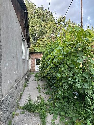 продаю с: 🏡 Продаю хороший благоустроенный дом возле рынка Баят, по Молодой — 5