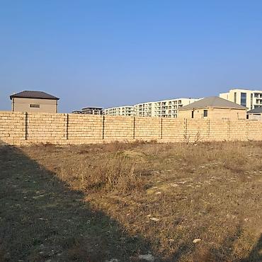 sabuncuda: 12 sot, Tikinti, Kupça (Çıxarış) — 10
