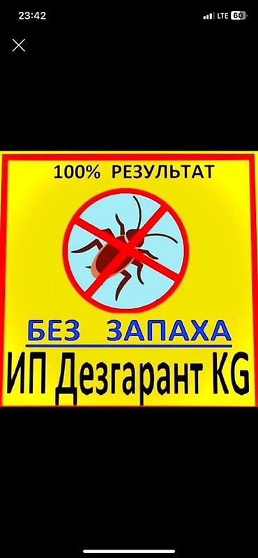 калыб: Профессиональные услуги по дезинфекции, дезинсекции и дератизации — 4