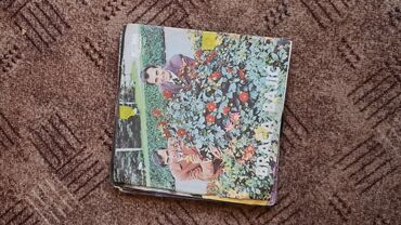 Vinil ploče: Lot singl gramofonskih ploča (7”/45 rpm) domaće produkcije - Ana — 6