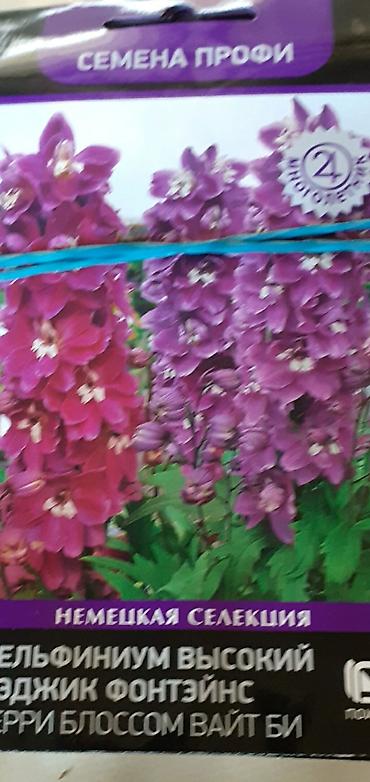 Семена газона: Продается семена дельфиниумов и катарантусов. 1 пачка - 80 сом. Проф — 5