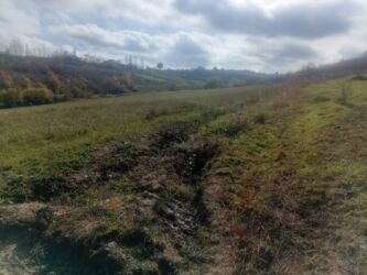 mingeçevir kiraye ev: 600 sot, Biznes üçün, Mülkiyyətçi, Kupça (Çıxarış)