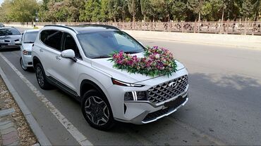 maşın icarə: Günlük, Hyundai, Depozitsiz