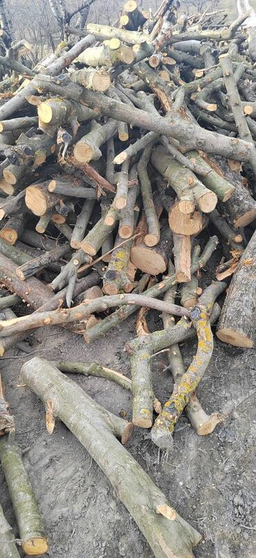 Odun: Alma Odun satilir 4 lavet odundur