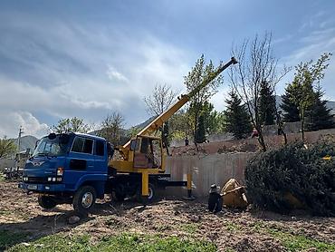caterpillar: Стрела 21 м, 5000 т — 2