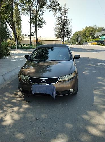 купе 124: Kia Cerato: 2012 г., 1.6 л, Механика, Бензин, Седан — 6