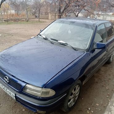 Opel: Opel Astra: 1995 г., 1.6 л, Механика, Бензин, Хэтчбэк