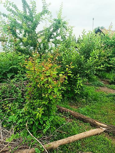 Продажа коттеджей и домов: - Материал стен: кирпич/шлакоблок, фасад оштукатурен и окрашен. - — 11
