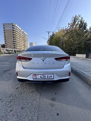 sonata 2009: Hyundai Sonata: 2019 г., 2 л, Автомат, Бензин, Седан — 5
