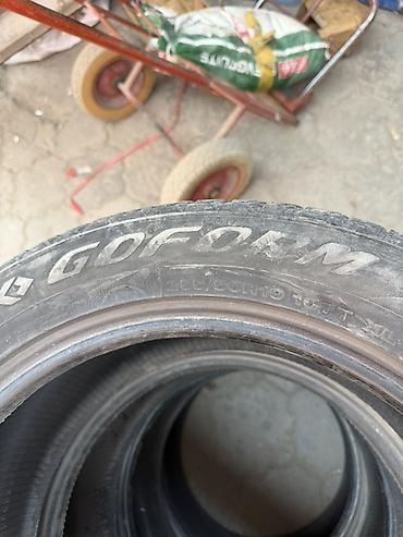 зимние шины 19: 255/50 R19 Комплект из 4 зимних шин GOFORM FROZENPRO. Характеристики — 3