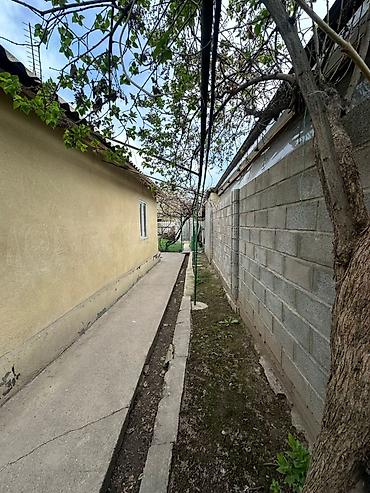 Продажа коттеджей и домов: Продается частный дом с двором и придомовым участком. дом с 3 at lalafo.kg — 5 Продажа коттеджей и домов: Продается частный дом с двором и придомовым участком. дом с 3 — 5