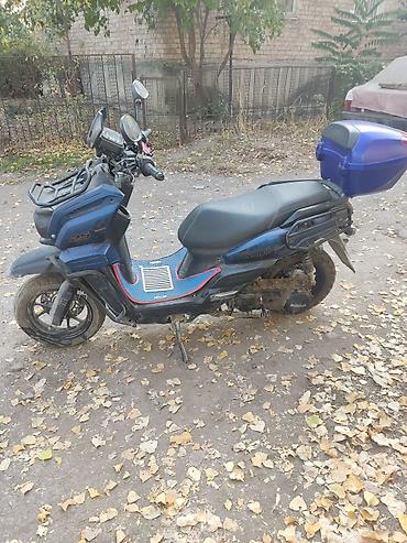tank moped: ЧИТАЙТЕ ВНИМАТЕЛЬНО ТОРГА НЕТ, НА ПРЕДЛОЖЕНИЕ С ТОРГОМ ДАЖЕ НЕ ОТВЕЧУ — 2
