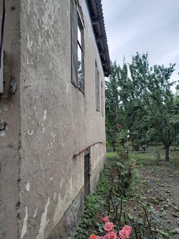 Bağ evlərinin satışı: Sumqayıt, 100 kv. m, 3 otaqlı, Hovuzsuz, Qaz, Su, İşıq -da lalafo.az — 4 Bağ evlərinin satışı: Sumqayıt, 100 kv. m, 3 otaqlı, Hovuzsuz, Qaz, Su, İşıq — 4