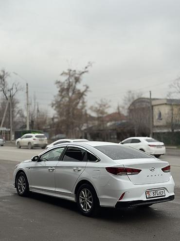 Hyundai: Hyundai Sonata: 2019 г., 2 л, Автомат, Бензин, Седан — 8