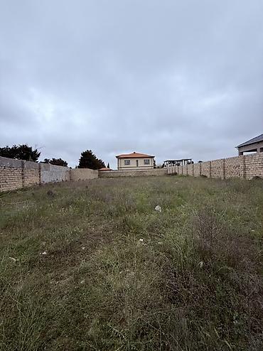 massive: 12 sot, Tikinti, Kupça (Çıxarış) — 9