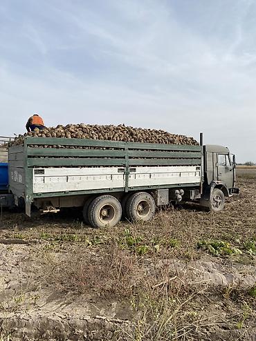 Грузовики: Грузовик, Камаз, Стандарт, 7 т, Б/у — 13