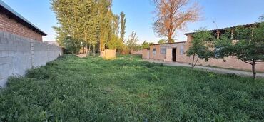 участок срочно: 12 соток, Для бизнеса, Красная книга