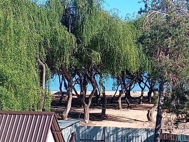 Посуточная аренда квартир: Сдаётся жильё у моря в шаговой доступности от пляжа и набережной с — 3