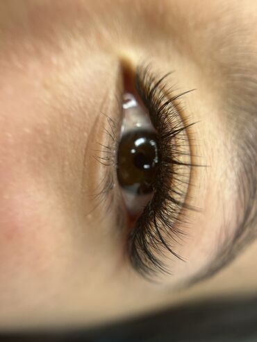 Ресницы: Ресницы, Голливуд, Классика, 2D, Требуются модели — 4