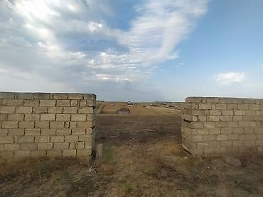 Torpaq sahələrinin satışı: 12 sot, Kupça (Çıxarış) — 1