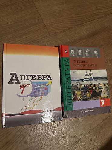 школьные веши: Учебники 7 класс — 1