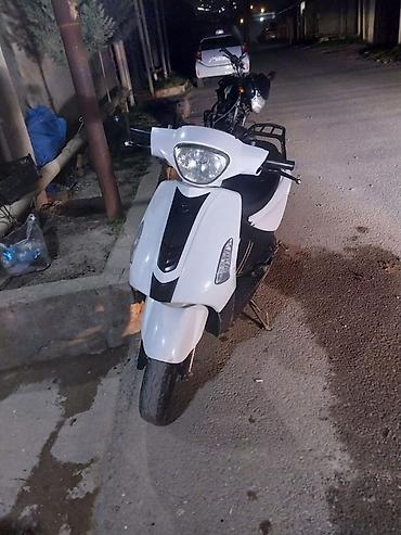49 moto: Tufan - ZigZag, 80 sm3, 2024 il, 12000 km — 2