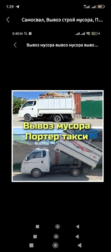 в связи с переездом отдам попугая жако в добрые руки: Портер такси портер такси портер такси портер такси портер такси