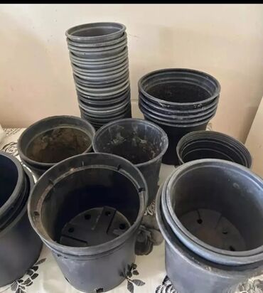 Bitkilər üçün dibçəklər: Plastik,kauçuk gül və dibçək qabları satılır. Cəmisi 60 — 5