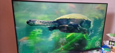 zapcast televizor: İşlənmiş Televizor Saturn Led 40" HD (1366x768), Ödənişli çatdırılma, Pulsuz çatdırılma