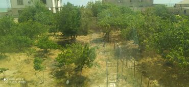 Bağ evlərinin satışı: Zeynalabdin Tağıyev, 100 kv. m, 5 otaqlı, Hovuzsuz, İnternet, Qaz, İşıq — 14