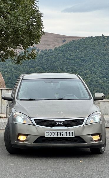 Kia: Kia Ceed: 1.6 l | 2010 il Hetçbek — 19