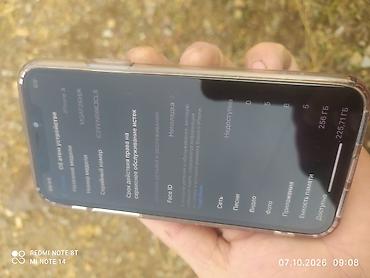 IPhone X, Колдонулган, 256 ГБ, Black Titanium, Каптама, 100 % — 3