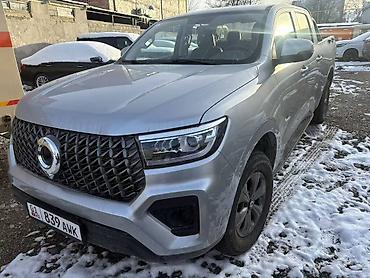 Great Wall: Great Wall Deer: 2024 г., 2 л, Вариатор, Дизель, Внедорожник — 3