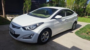 болонный ключ: Hyundai Elantra: 2015 г., 1.6 л, Автомат, Бензин, Седан