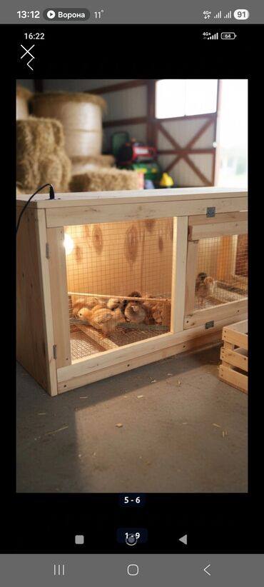 Товары и оборудование для с/х животных: Универсальный Брудер, ясли для цыплят. сураныч, бар же жок экенсин — 1