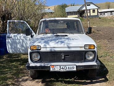 машина жыгули: ВАЗ (ЛАДА) 4x4 Niva: 1999 г., Кол менен иштөөчү, Бензин, Жол тандабас — 2