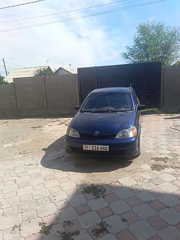 4.2 дизель тойота: Toyota Echo: 2001 г., 1.6 л, Автомат, Бензин, Седан — 2