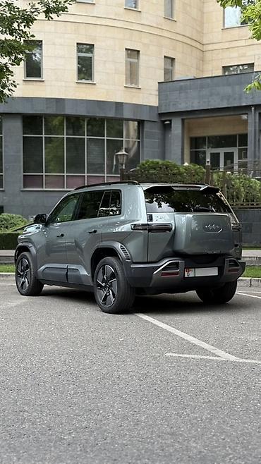 byd 2025: BYD FangChengBao Leopard 3: 2025 г., Автомат, Электромобиль, Кроссовер — 1