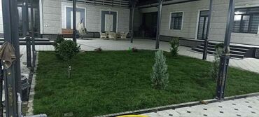 Газон: Газон и Автополив жасайбыз баасы келишим турдо болот! — 6