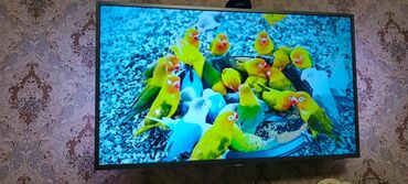 Televizorlar: Yeni Televizor Philips 4K (3840x2160), Ünvandan götürmə — 4
